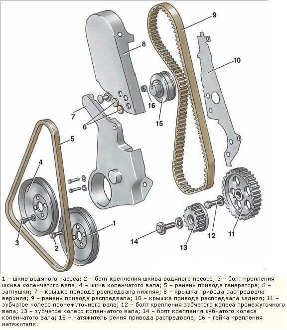Ремень грм VW Jetta 1.6